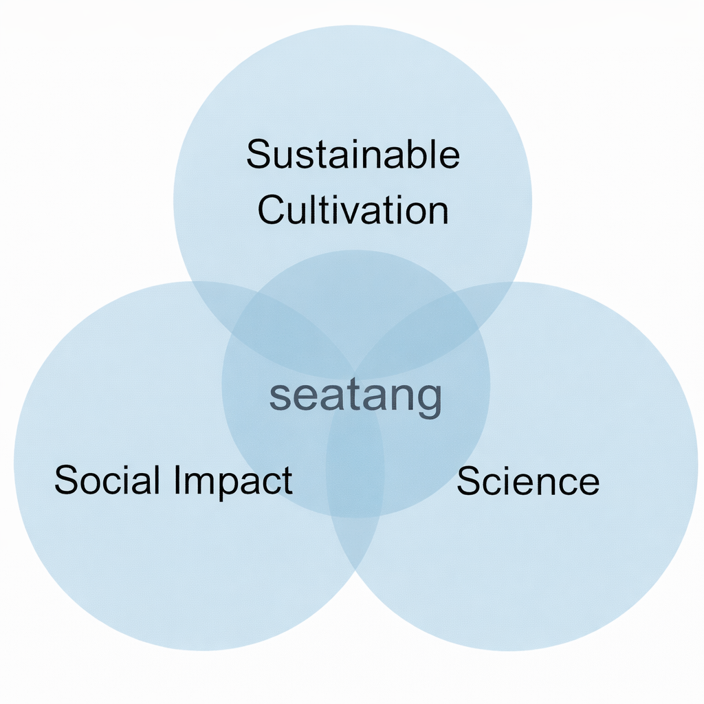 Seatang Framework